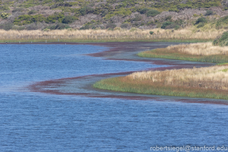 point reyes